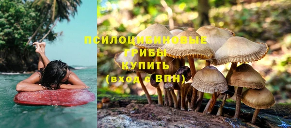 сатива Алзамай