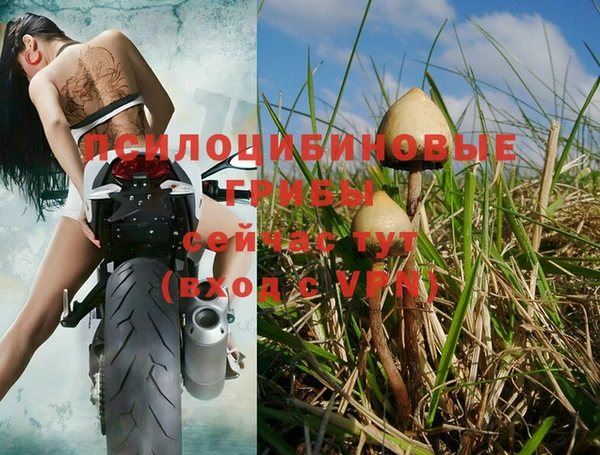 кокс Абинск
