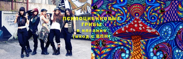 кокаин Алексеевка