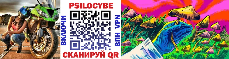 Галлюциногенные грибы мицелий  даркнет сайт  hydra ТОР  Агидель 
